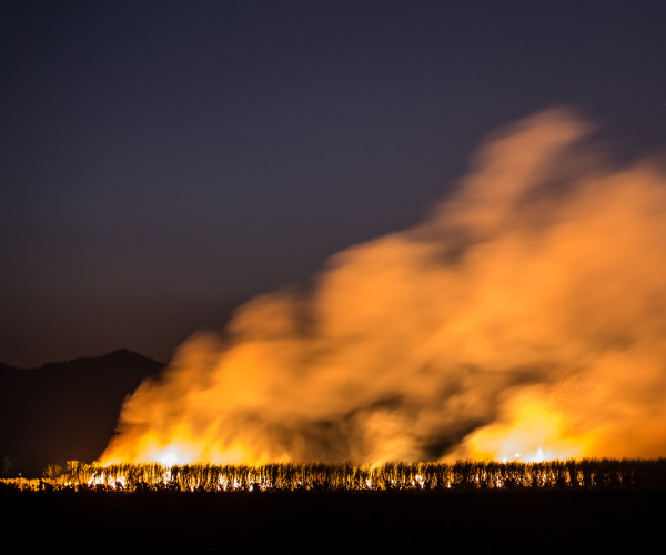 climate and health what can we do today