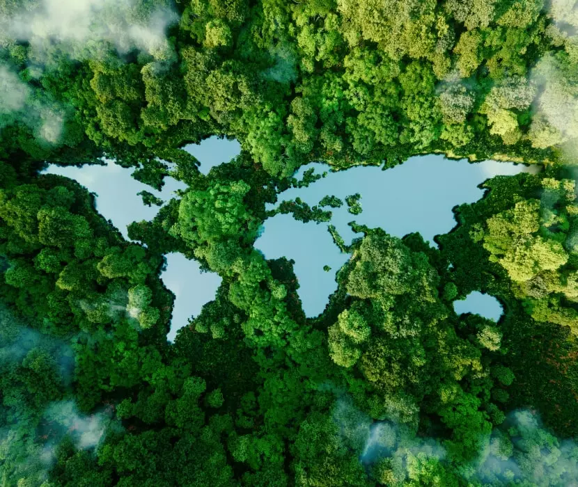 A lake in the shape of the world's continents