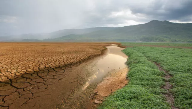 The CAFÉ: A New Climate and Health Research Coordinating Center